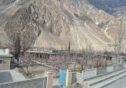 Forest Department supports spring plantation drive in Hunza