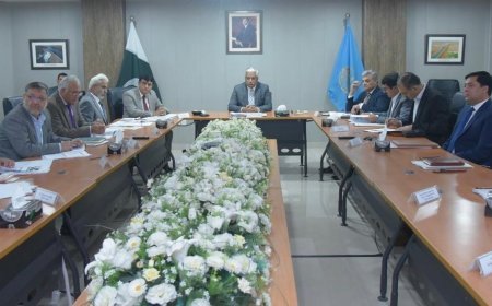 Committee Reviews Land Acquisition of Diamer Basha Dam