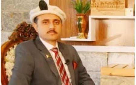 Former Diamer DC removed from service