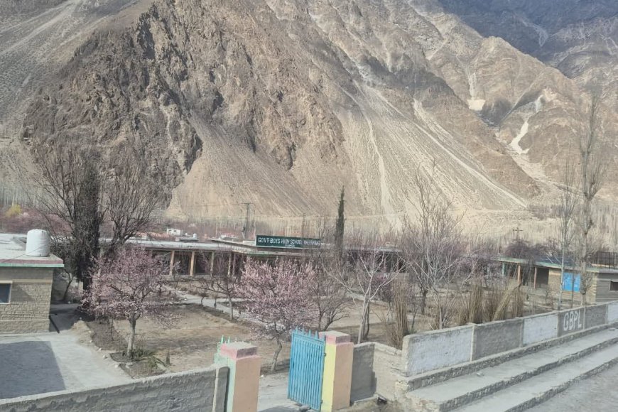 Forest Department supports spring plantation drive in Hunza