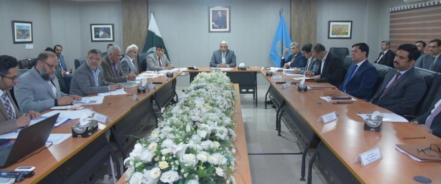 Committee Reviews Land Acquisition of Diamer Basha Dam