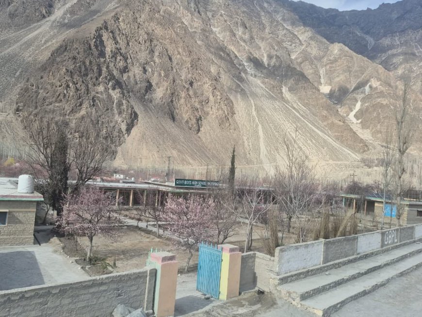 Forest Department supports spring plantation drive in Hunza