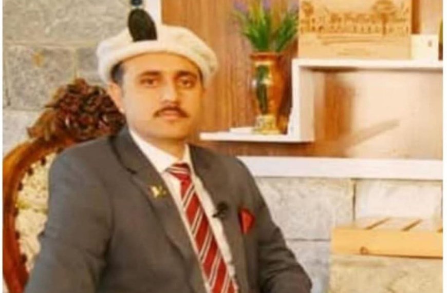 Former Diamer DC removed from service