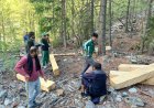 Viral Videos Trigger Forest Probe in Gilgit