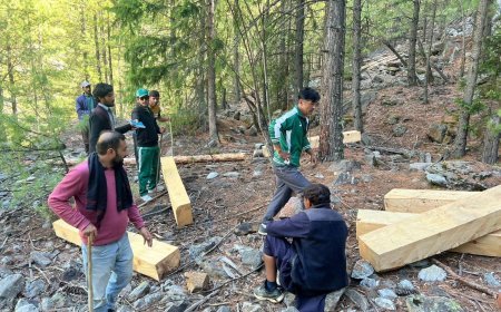 Viral Videos Trigger Forest Probe in Gilgit