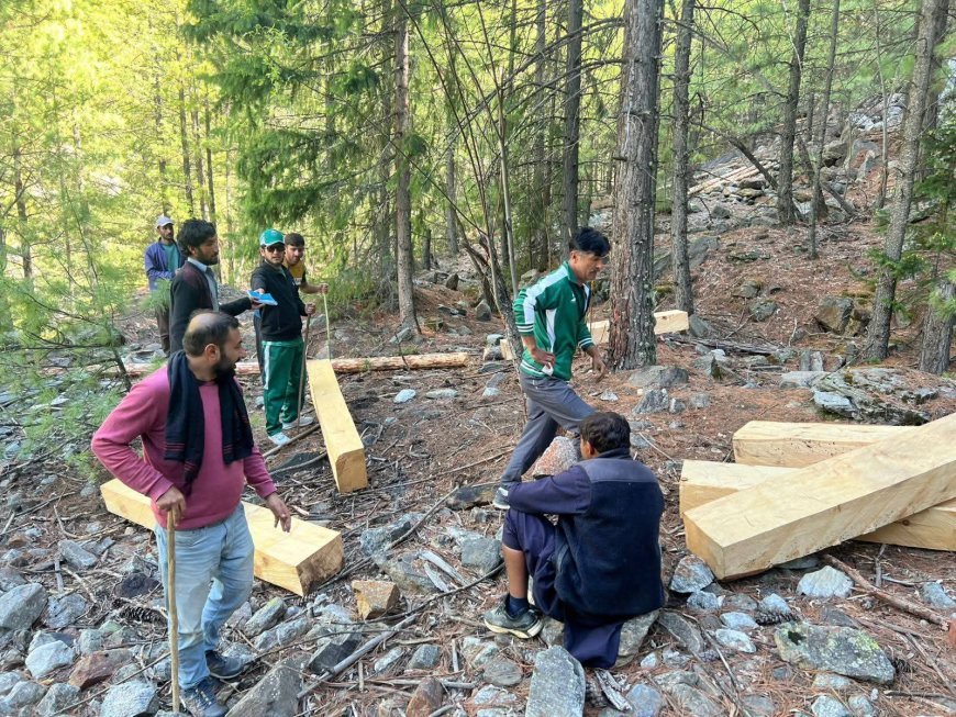Viral Videos Trigger Forest Probe in Gilgit