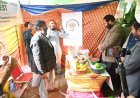 GB Faces livestock Production Gaps, Imports Worth Rs40 Billion Annually
