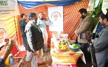 GB Faces livestock Production Gaps, Imports Worth Rs40 Billion Annually
